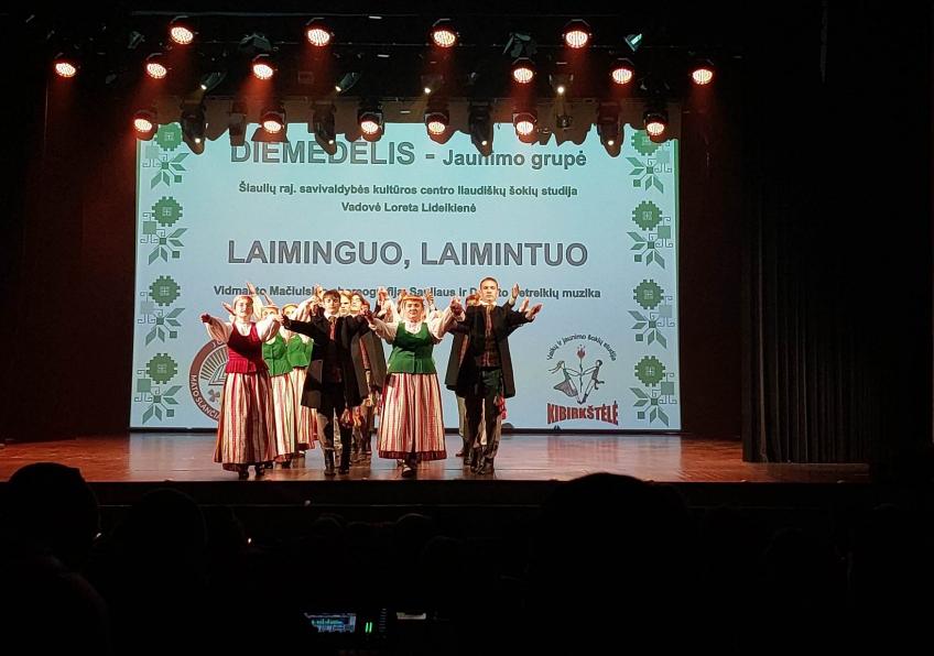 Akimirkos iš  tarptautinio šokių festivalio „Šoks vaikučiai šokinį“