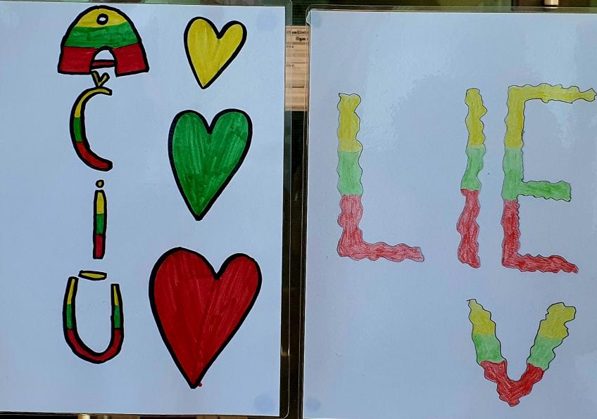 Akcija, skirta Kovo 11 d. „Geltona, žalia, raudona” Pakumulšiuose