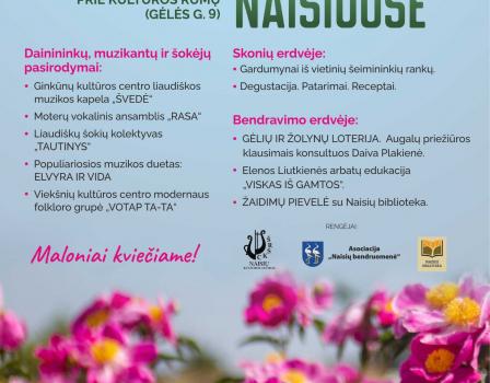 Šventė Naisiuose „Sveika, vasara”