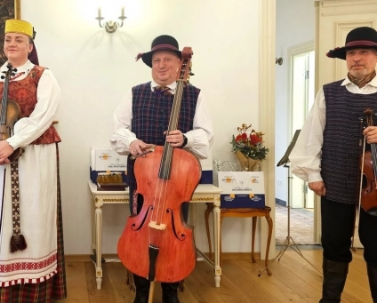 Tradicinė styginių instrumentų grupė